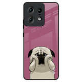 Funny Pug Face Motorola Edge 50 Pro 5G Glass Back Cover Online