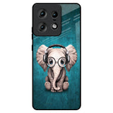Adorable Baby Elephant Motorola Edge 50 Pro 5G Glass Back Cover Online