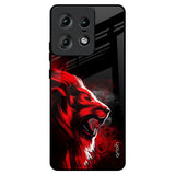 Red Angry Lion Motorola Edge 50 Pro 5G Glass Back Cover Online