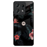 Tropical Art Flower Motorola Edge 50 Pro 5G Glass Back Cover Online