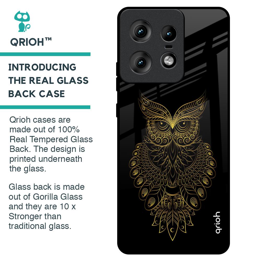 Golden Owl Glass Case for Motorola Edge 50 Pro 5G
