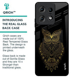 Golden Owl Glass Case for Motorola Edge 50 Pro 5G
