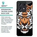 Angry Tiger Glass Case For Motorola Edge 50 Pro 5G