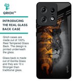 King Of Forest Glass Case for Motorola Edge 50 Pro 5G
