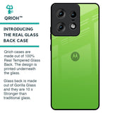 Paradise Green Glass Case For Motorola Edge 50 Pro 5G