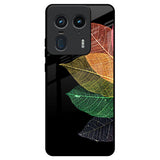Colorful Leaves Motorola Edge 50 Ultra 5G Glass Back Cover Online