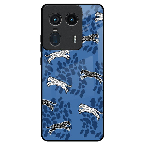 Blue Cheetah Motorola Edge 50 Ultra 5G Glass Back Cover Online