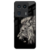 Brave Lion Motorola Edge 50 Ultra 5G Glass Back Cover Online