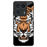 Angry Tiger Motorola Edge 50 Ultra 5G Glass Back Cover Online