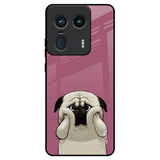 Funny Pug Face Motorola Edge 50 Ultra 5G Glass Back Cover Online