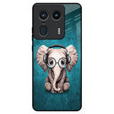 Adorable Baby Elephant Motorola Edge 50 Ultra 5G Glass Back Cover Online
