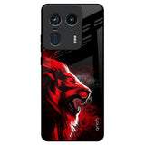 Red Angry Lion Motorola Edge 50 Ultra 5G Glass Back Cover Online
