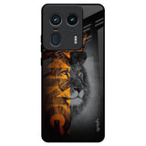 King Of Forest Motorola Edge 50 Ultra 5G Glass Back Cover Online