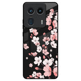 Black Cherry Blossom Motorola Edge 50 Ultra 5G Glass Back Cover Online