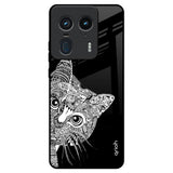 Kitten Mandala Motorola Edge 50 Ultra 5G Glass Back Cover Online