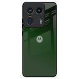 Deep Forest Motorola Edge 50 Ultra 5G Glass Back Cover Online
