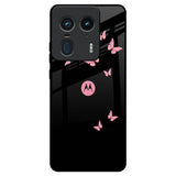 Fly Butterfly Motorola Edge 50 Ultra 5G Glass Back Cover Online