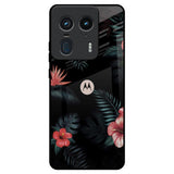 Tropical Art Flower Motorola Edge 50 Ultra 5G Glass Back Cover Online