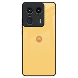 Dandelion Motorola Edge 50 Ultra 5G Glass Back Cover Online
