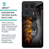 King Of Forest Glass Case for Motorola Edge 50 Ultra 5G