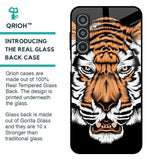 Angry Tiger Glass Case For Samsung Galaxy M35 5G