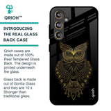 Golden Owl Glass Case for Samsung Galaxy F55 5G