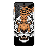 Angry Tiger Samsung Galaxy M55 5G Glass Back Cover Online