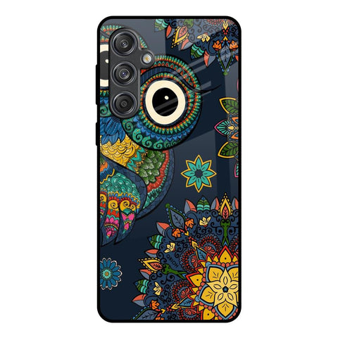 Owl Art Samsung Galaxy M55 5G Glass Back Cover Online