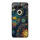 Owl Art OnePlus Nord 4 5G Glass Back Cover Online