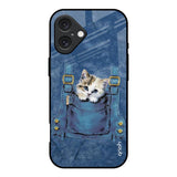 Kitty In Pocket iPhone 16 Glass Back Cover Online
