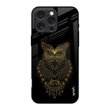 Golden Owl iPhone 16 Pro Glass Back Cover Online