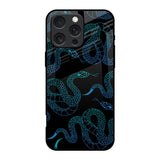 Serpentine iPhone 16 Pro Glass Back Cover Online