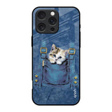 Kitty In Pocket iPhone 16 Pro Glass Back Cover Online