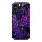 Plush Nature iPhone 16 Pro Glass Back Cover Online