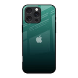 Palm Green iPhone 16 Pro Glass Back Cover Online