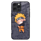 Orange Chubby iPhone 16 Pro Max Glass Back Cover Online