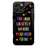 Magical Words iPhone 16 Pro Max Glass Back Cover Online