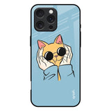 Adorable Cute Kitty iPhone 16 Pro Max Glass Back Cover Online