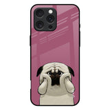 Funny Pug Face iPhone 16 Pro Max Glass Back Cover Online