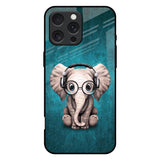 Adorable Baby Elephant iPhone 16 Pro Max Glass Back Cover Online