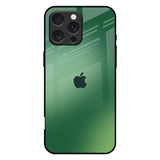 Green Grunge Texture iPhone 16 Pro Max Glass Back Cover Online
