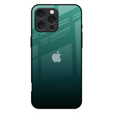 Palm Green iPhone 16 Pro Max Glass Back Cover Online