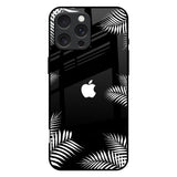 Zealand Fern Design iPhone 16 Pro Max Glass Back Cover Online