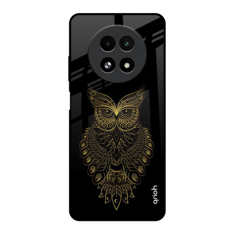 Golden Owl Realme 13 5G Glass Back Cover Online