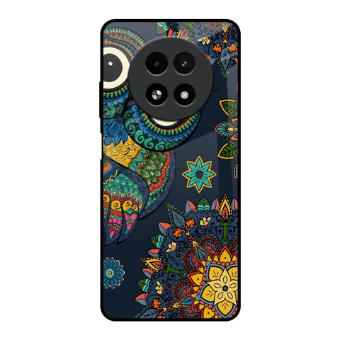 Owl Art Realme 13 5G Glass Back Cover Online