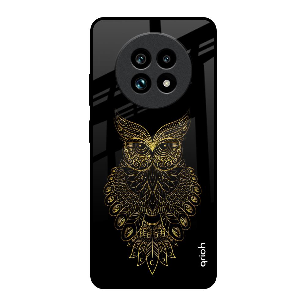 Golden Owl Realme 13 Pro Plus 5G Glass Back Cover Online