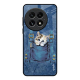 Kitty In Pocket OnePlus 13 Glass Back Cover Online