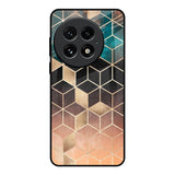Bronze Texture OnePlus 13 Glass Back Cover Online
