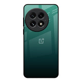 Palm Green OnePlus 13 Glass Back Cover Online