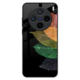 Colorful Leaves Vivo X200 5G Glass Back Cover Online